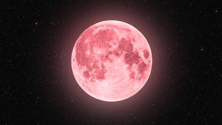 La super lune rose