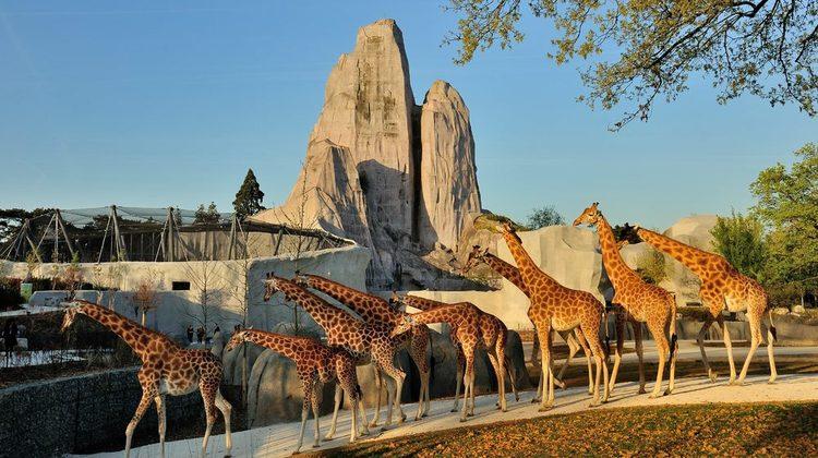 Parc Zoologique de Paris