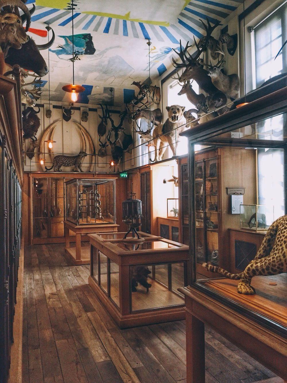 Musée de la chasse