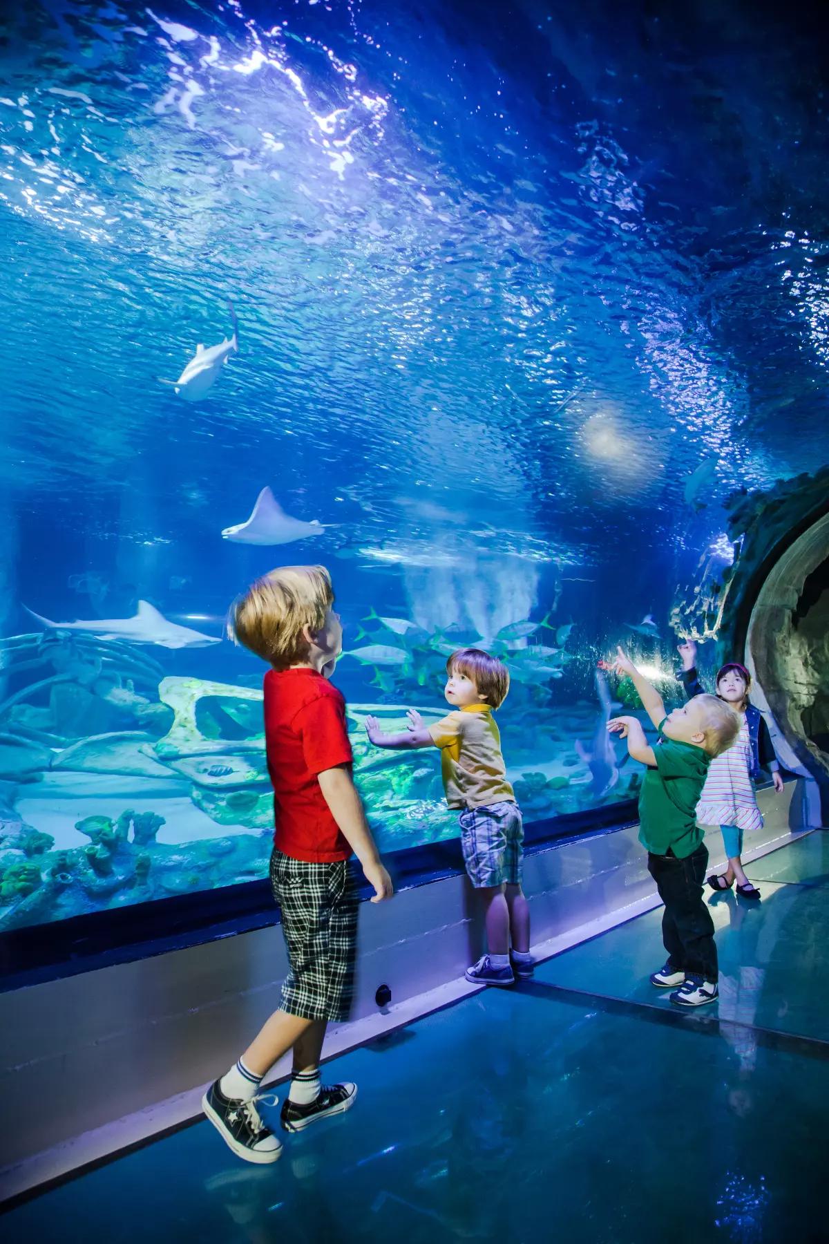 SEA Life Paris Val d'Europe