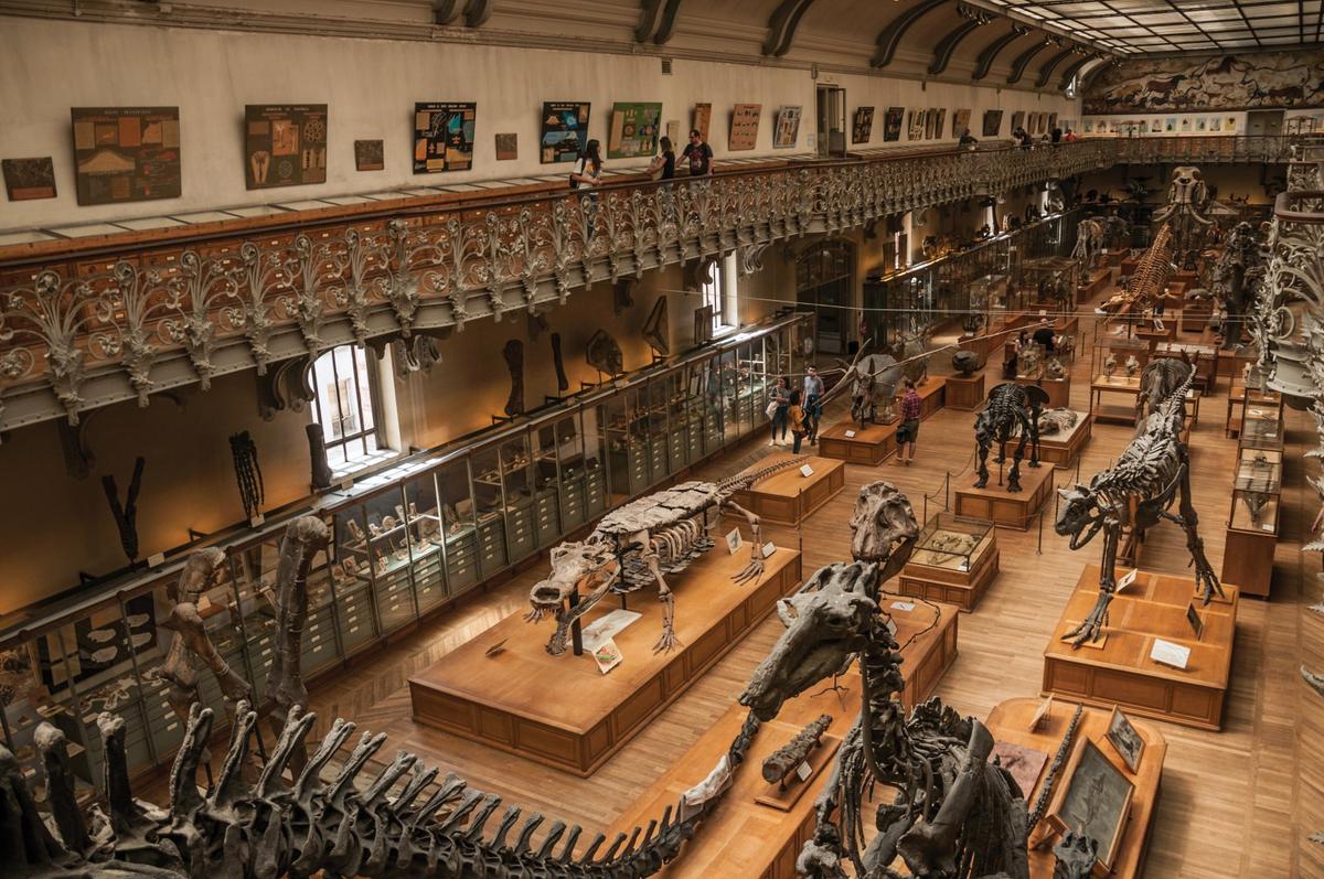 Galerie de l'Évolution