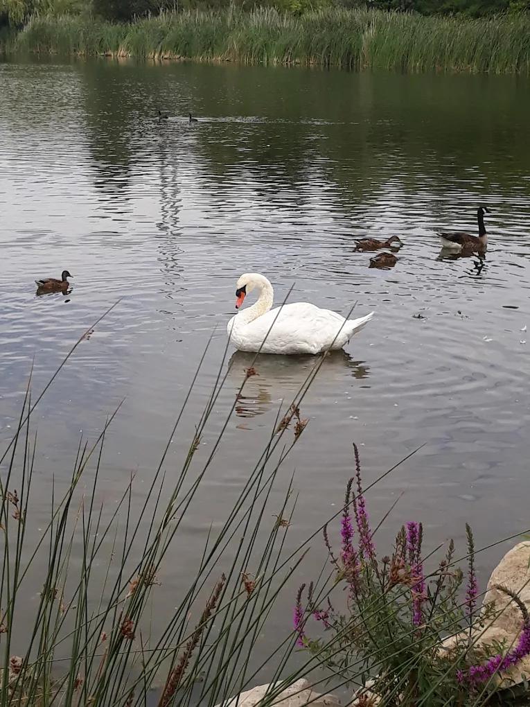 Parc de la Plage-Bleue