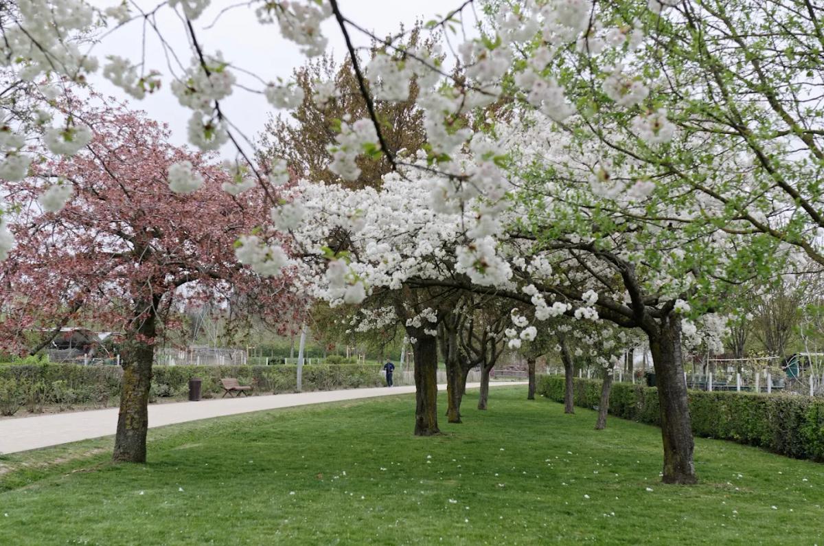 Parc des Hautes-Bruyères