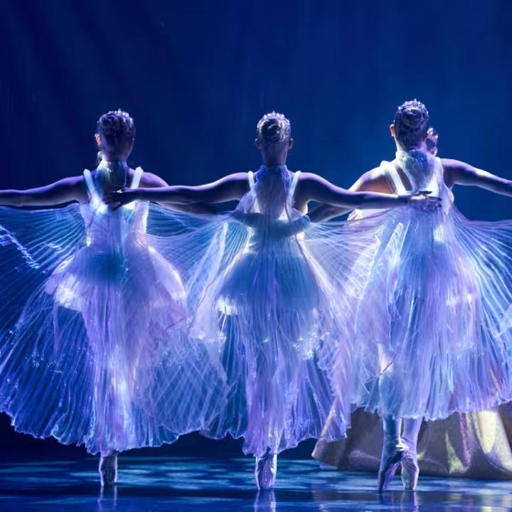 Ballet of Lights : « La Belle au bois dormant »