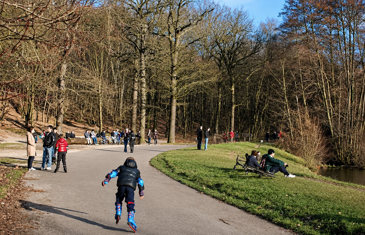 Forêt domaniale de Meudon