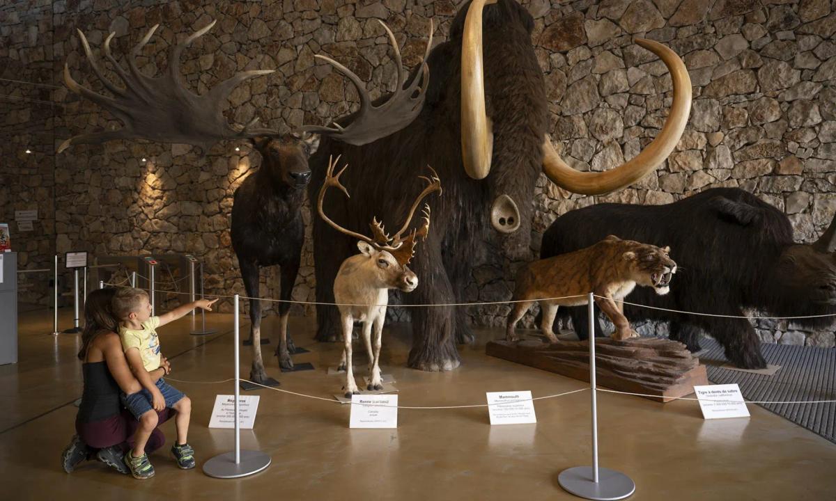 Musée de la Préhistoire