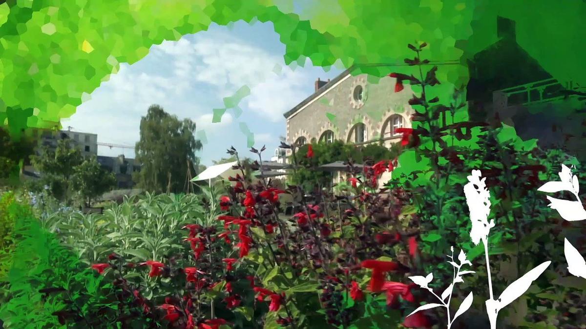 Potager de la Crapaudine