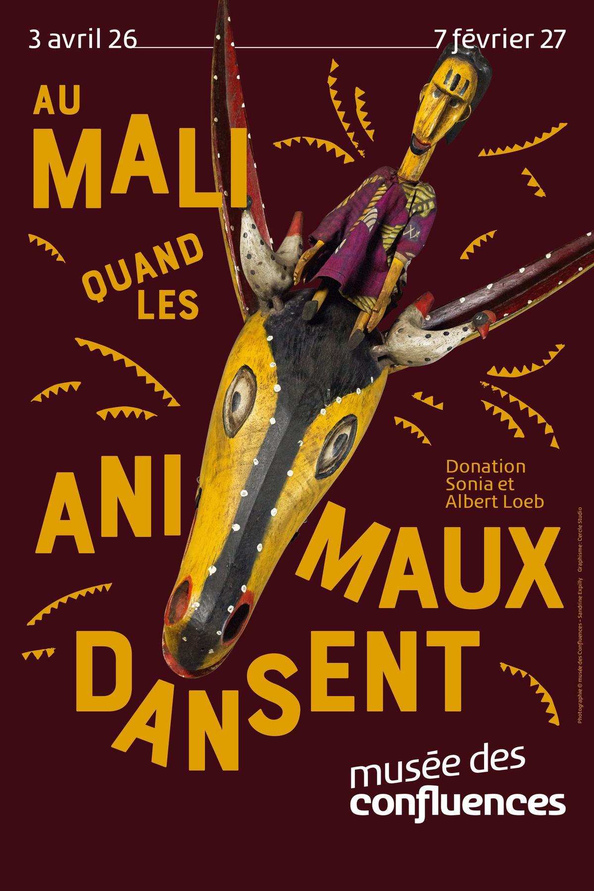 Quand les animaux dansent